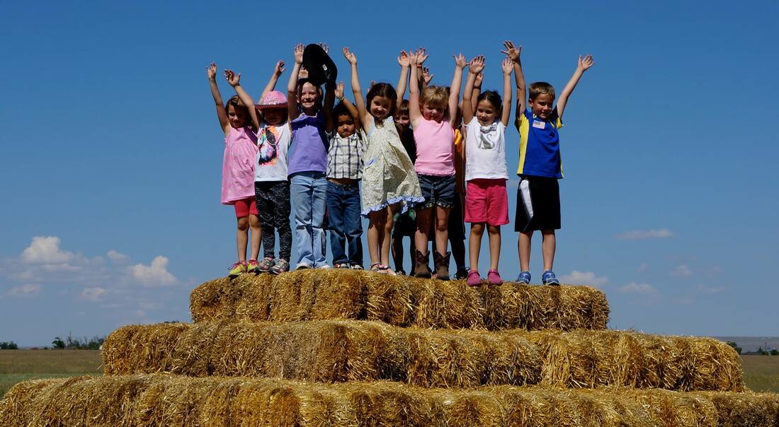 Wishing Star Farm