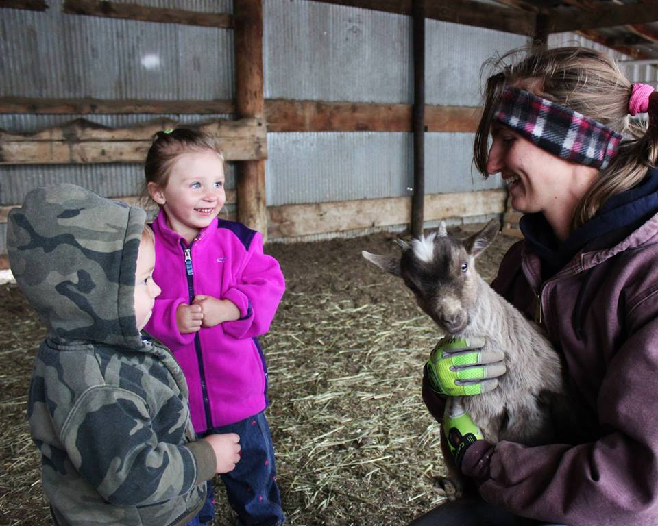 Wishing Star Farm
