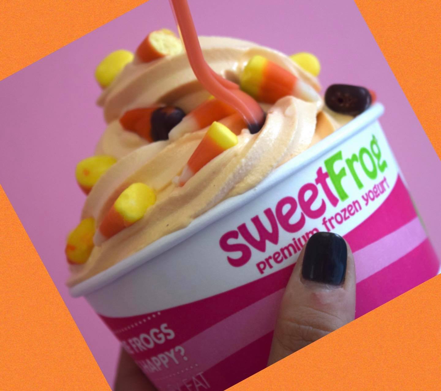 sweetFrog Premium Frozen Yogurt 