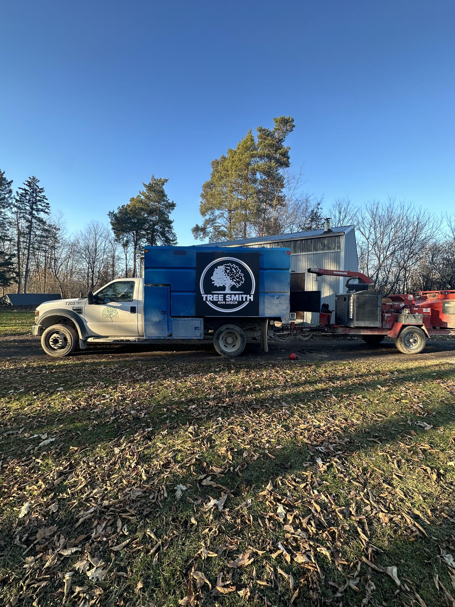 Tree Smith Ann Arbor
