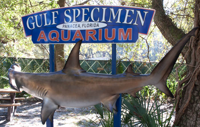 Gulf Specimen Marine Lab