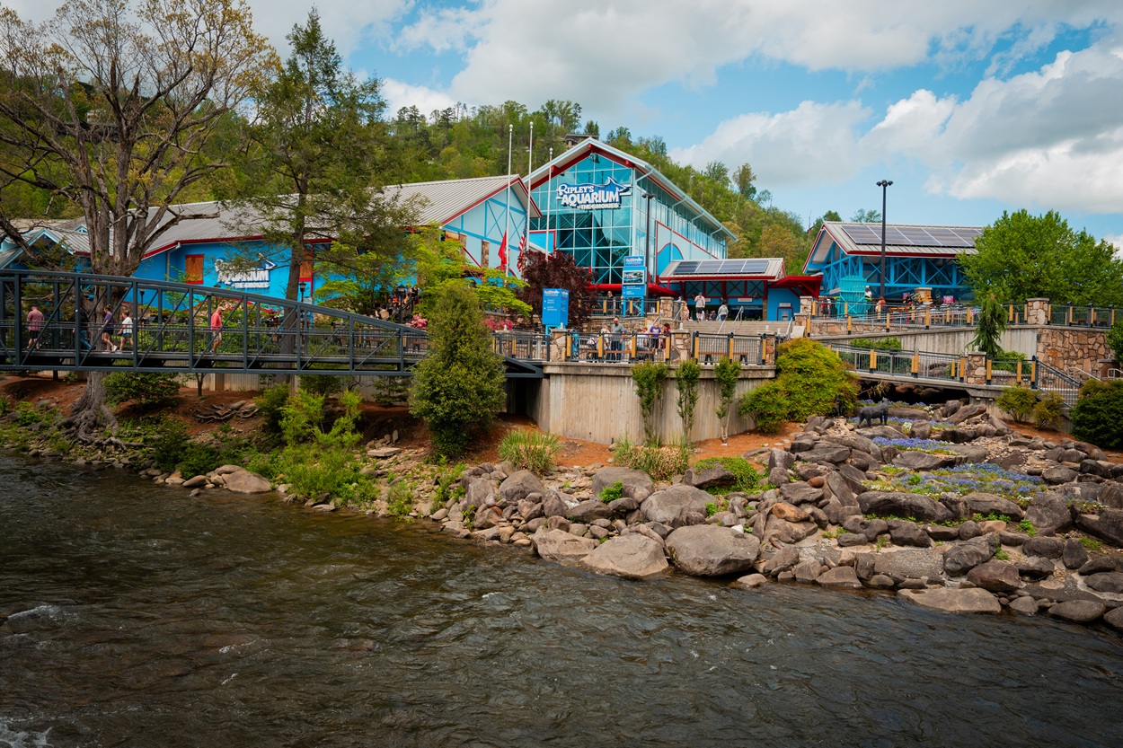 Ripley's Aquarium of the Smokies