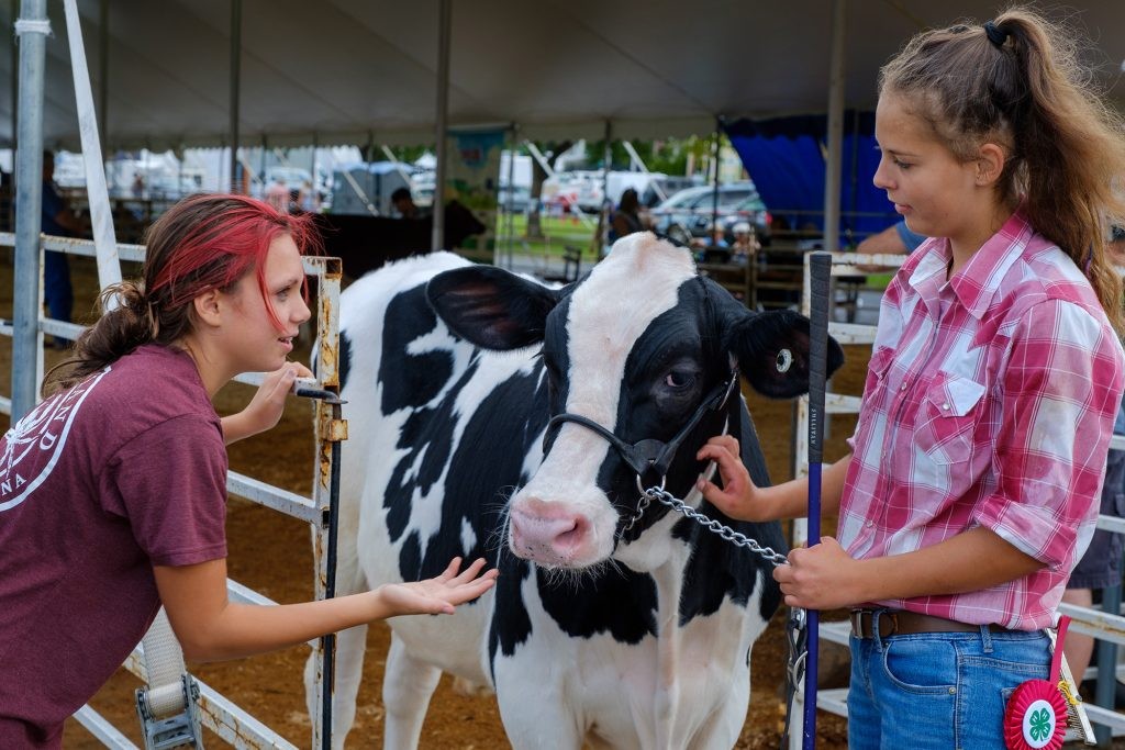 Great Allentown Fair