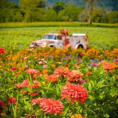 Von Thun Farms