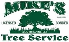 company image