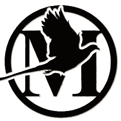 company image